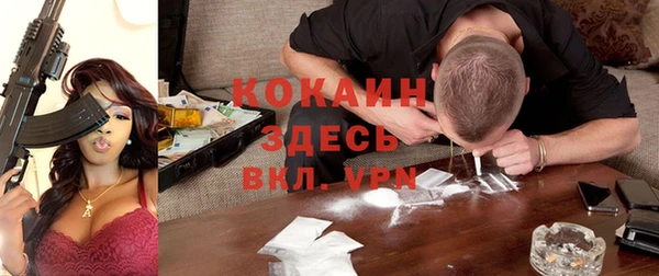 мескалин Арсеньев