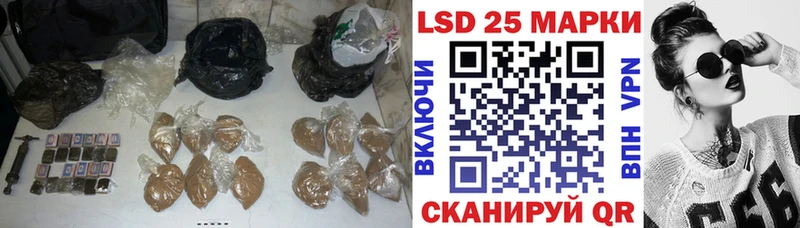 omg вход дарнет шоп Сегежа ЛСД экстази кислота